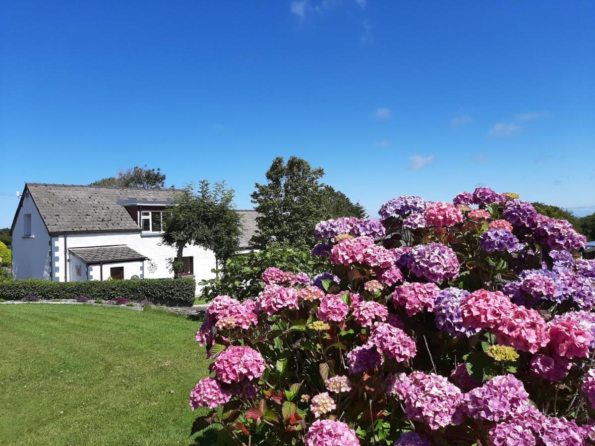 Trenewydd Farm Holiday Cottages Cardigan Dış mekan fotoğraf