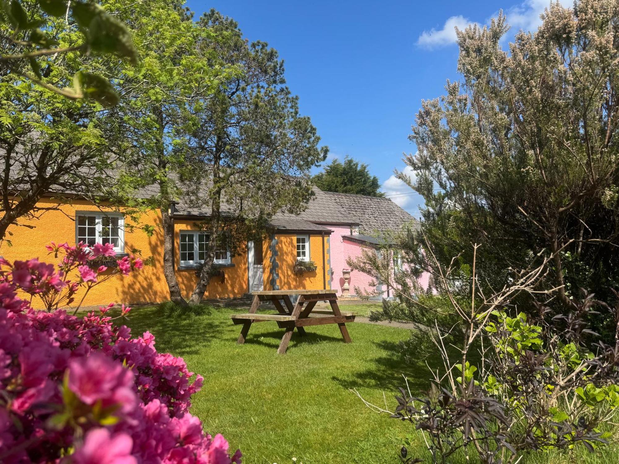 Trenewydd Farm Holiday Cottages Cardigan Dış mekan fotoğraf